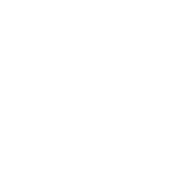 Canister 2,75 l