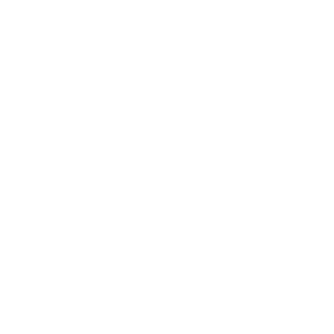 Glass bottle 290 ml
