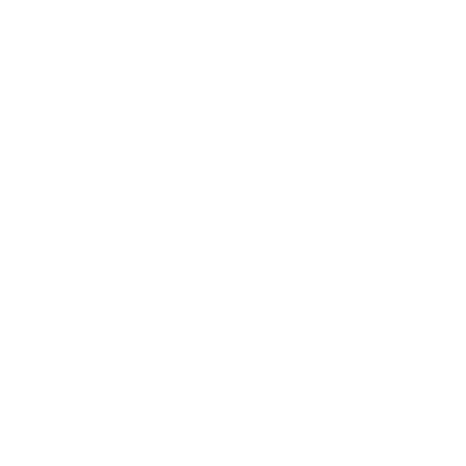 Glass bottle 500 ml
