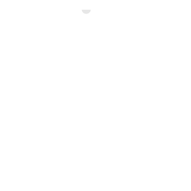 Bottle 500 ml